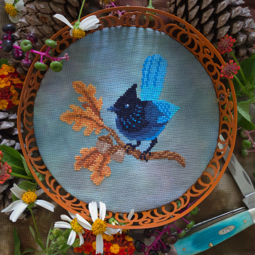 PRE-ORDER BAD Stitch Cross Stitch - Steller's Jay